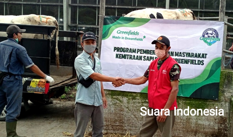 Bangkitkan Ekonomi, PT. Greenfields Indonesia Farm 2 Perluas Kemitraan Bagi Warga Blitar