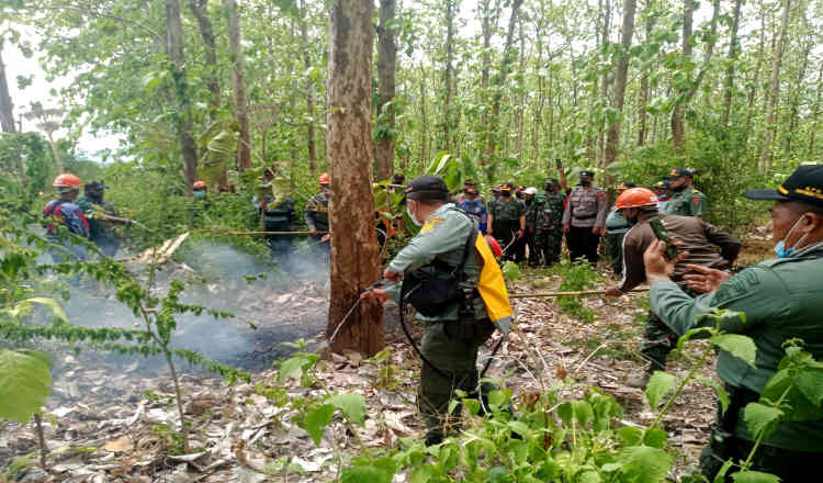 Cegah Kebakaran Hutan, Perhutani Banyuwangi Utara Gelar Simulasi