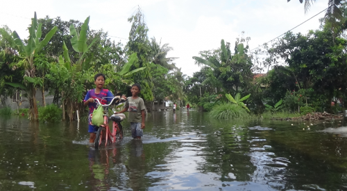 Kali Meluap, Ratusan Rumah Warga Dan Ratusan Hektar Lahan Terendam Banjir