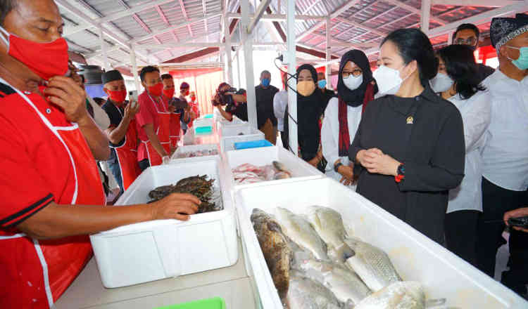 Bertemu Nelayan di TPI Mandar, Puan Maharani Borong Olahan Laut UMKM Banyuwangi 