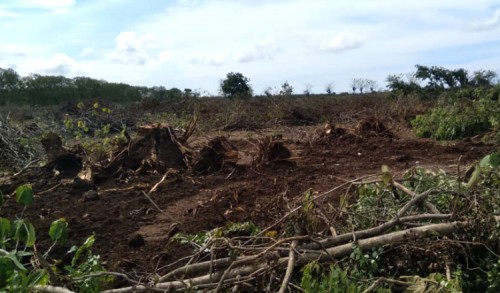 Soal Tukar Guling Kawasan Hutan Jati Peteng, Ini Kata Ketua DPRD Tuban