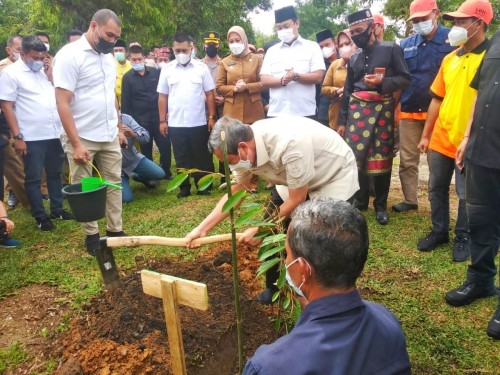 Gubenur Riau Serahkan 10.300 Pohon Untuk Masyarakat Inhu