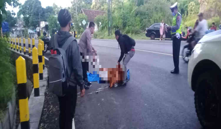 Diduga Mabuk, Pemotor di Banyuwangi Tabrak Pembatas Jalan hingga Tewas