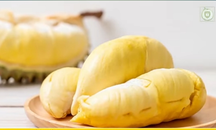 9 Manfaat Buah Durian Bagi Tubuh Manusia! Kita Wajib Mengkonsumsinya