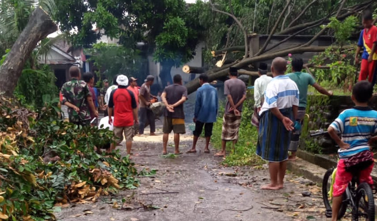Angin Puting Beliung Hempas Tiga Desa di Kecamatan Besuk Probolinggo