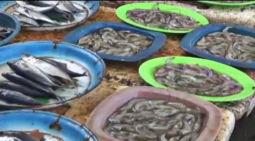 Harga Meroket, Pedagang Ikan di Puger Jember Merana