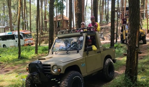 Sensasi Berwisata Offroad Menembus Hutan Pinus di Mliwis Hill Desa Tawangsari Purworejo