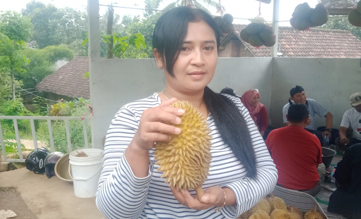 Durian Produk Lokal Wonosalam Jombang,Rasanya Manis Legit Pahit Diburu Pelanggan