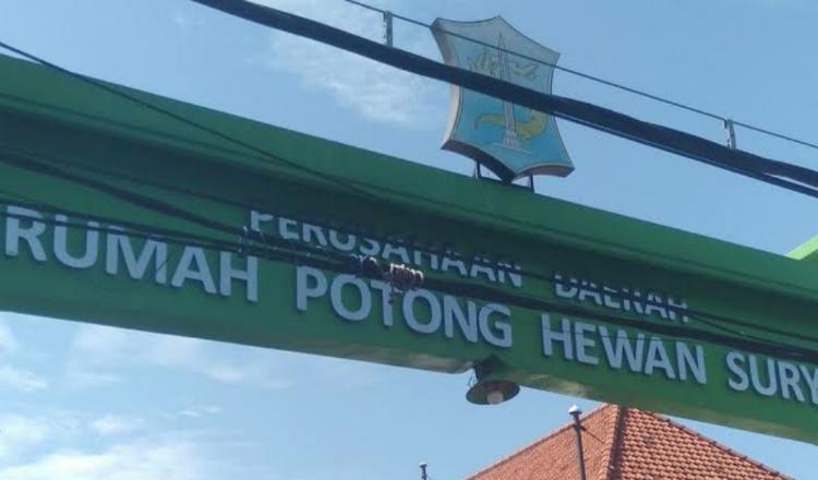 Rencana Relokasi RPH Surabaya ke Tandes Butuh Persiapan Ekstra