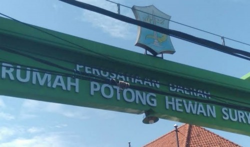 Rencana Relokasi RPH Surabaya ke Tandes Butuh Persiapan Ekstra