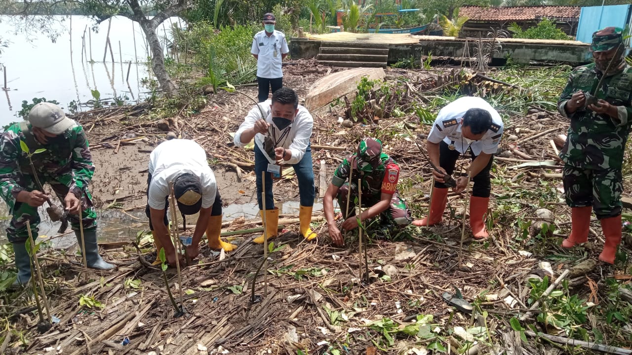 Hari Pers Nasional, Wartawan Cilacap Tanam 100 Pohon Mangrove