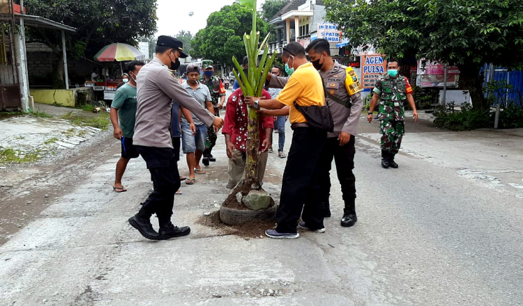 Heboh, Warga Blitar Tanam Pohon Pisang di Tengah Jalan