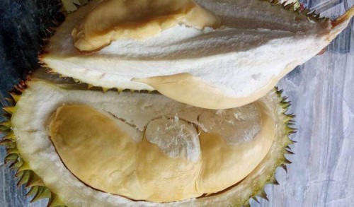 Hari Ini, Ada Bazar Durian Murah di Desa Rowosari Jember