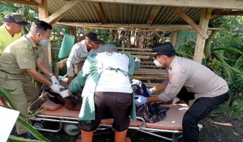 Seorang Lansia di Banyuwangi Ditemukan Meninggal di Gubuk Kebun Buah Naga