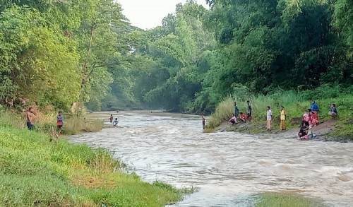 Jatuh ke Sungai, Warga Tiris Tenggelam di Sungai Krejengan Probolinggo