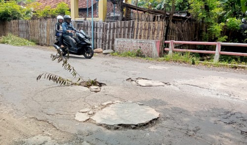 Agar Tak Jatuh Korban, Warga Pasang Ranting Pohon di Jalan Berlubang