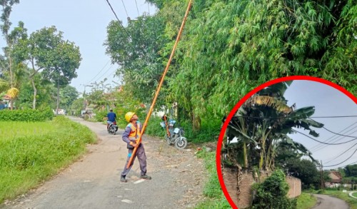 Warga Keluhkan Kabel PLN Menjuntai ke Jalan