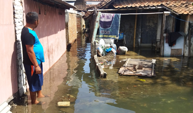 Tiga Hari Banjir Rob Rendam Pemukiman Warga di Banyuwangi
