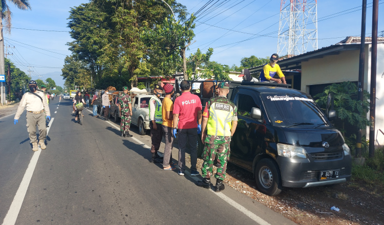 Operasi Penyekatan Hewan, Satgas PMK Tenggarang Bondowoso, Temukan Satu Ekor Sapi Positif