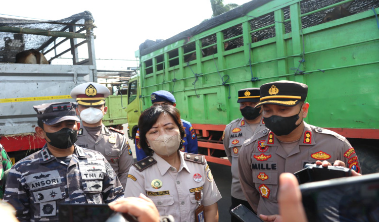 Antisipasi PMK, Kepolisian Banyuwangi Razia Kendaraan Pengangkut Ternak dari Bali