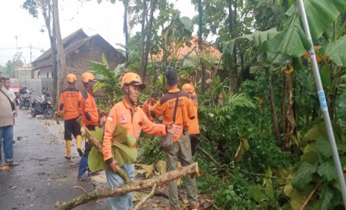 Hujan Disertai Angin  Sapu Atap Rumah Warga Desa Ngudirejo Diwek Jombang