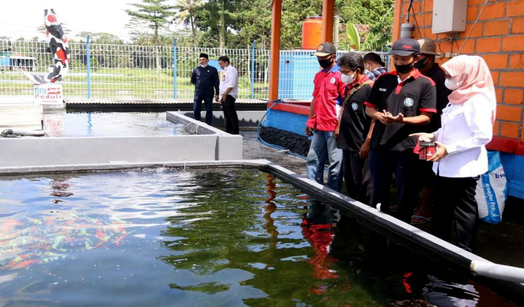 Bupati Mak Rini Dorong Potensi Ekspor Ikan Koi Warga Kabupaten Blitar