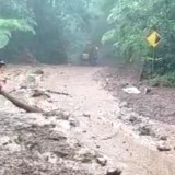 Hujan Lebat, Material Longsor Kembali Tutup Akses Jalan di Erek-erek Ijen