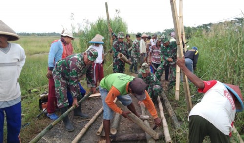 TNI Bersama Warga Bangun Jembatan Darurat di Desa Ujung Gagak, Cilacap