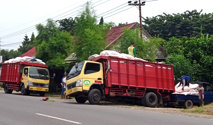 Pejabat DKPPP Tuban Kompak Bungkam Soal Pengadaan Pupuk Senilai Ratusan Juta