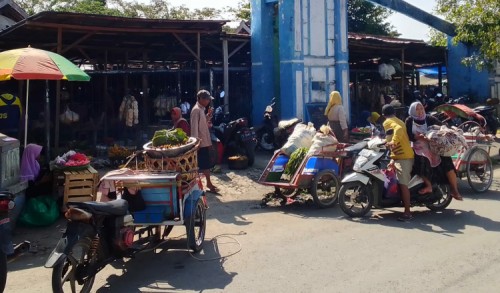 Jelang Idul Adha, Pedagang Sapi di Sampang Sepi Pembeli
