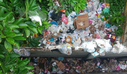 Tekan Volume Sampah Plastik, DLH Jember Gandeng Komunitas Pecinta Lingkungan