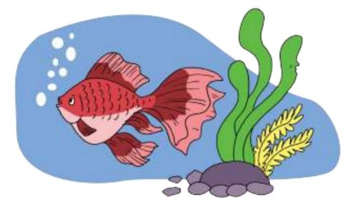 Kunci Jawaban Kelas 5 SD Halaman 14 17 Buku Tematik Tema 1 Subtema 1: Organ Gerak Ikan hingga Kambing