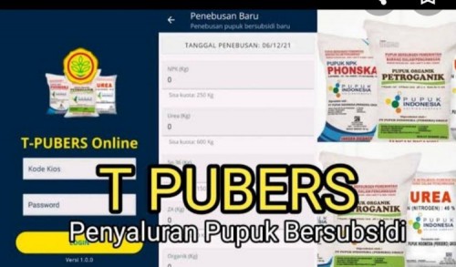 Pasca Persoalan Pupuk Subsidi di Bondowoso Dilaporkan ke Polda Jatim, Aplikasi T-pubers Diduga Dikunci