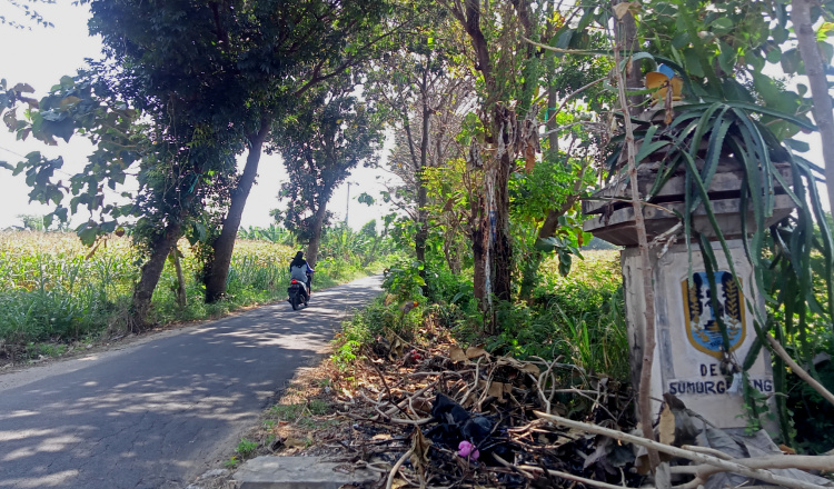 Pertamina Kembali Gusur Lahan Warga demi Akses Jalan Kilang GRR Tuban