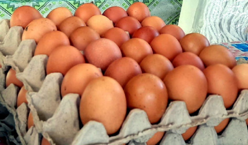 Emak-emak di Blitar Menjerit, Harga Telur Ayam Meroket