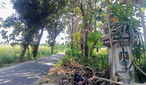 219 Lahan di Kampung Miliarder Tuban Akan Dibebaskan untuk Akses Jalan Kilang GRR 