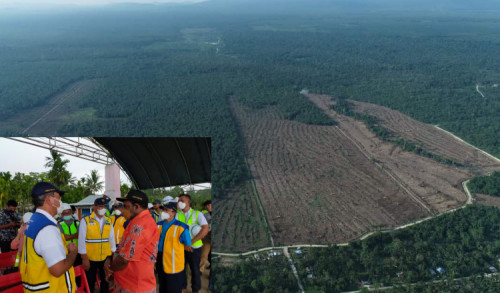 Land Clearing Lahan Jagung, Bupati Keerom: Desember Target Penanaman 500 Hektar 
