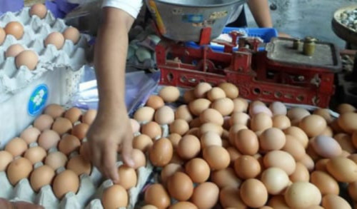 Harga Telur Ayam di Sampang Meroket, Pedagang Pasar Tradisional Mengeluh