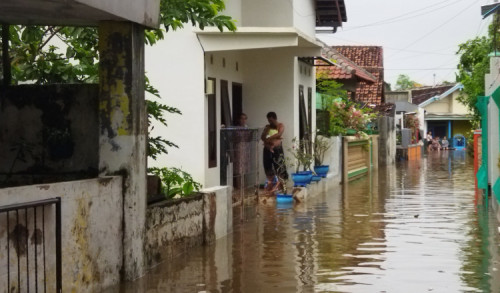 Banjir Rendam Permukiman Warga di Banyuwangi, Aktivitas Warga Terganggu