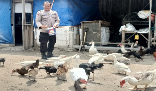 Punya Sampingan Ternak Unggas, Polisi di Ngawi Mampu Sekolahkan Anak Yatim