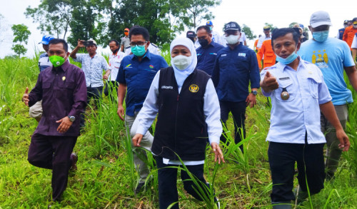 Banjir Bandang Kalibaru, Gubernur Khofifah Koordinasi Lahan Relokasi Warga hingga Siapkan Anggaran
