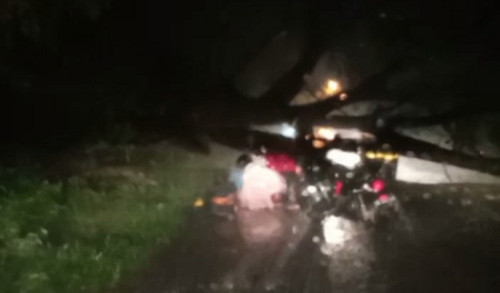 Dua Pengendara Sepeda Motor di Ngawi Tewas Tertimpa Pohon