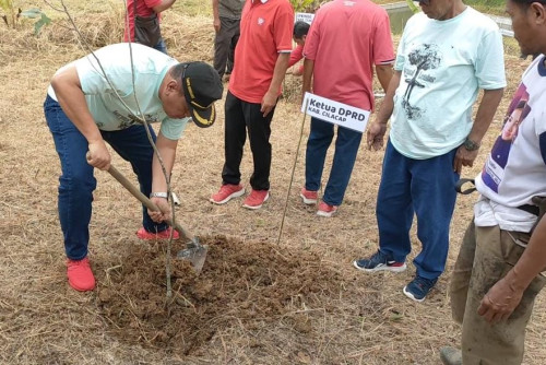 Mitigasi Bencana, Komunitas DOF Bersama Ketua DPRD Cilacap Tanam 10 Ribu Pohon