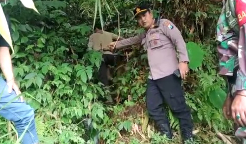 Petugas Cek Kebenaran Kemunculan Macan Tutul Lereng Gunung Raung