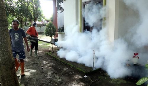 4 Warga Terserang DBD, Dinkes Lombok Tengah Gerak Cepat Lakukan Fogging