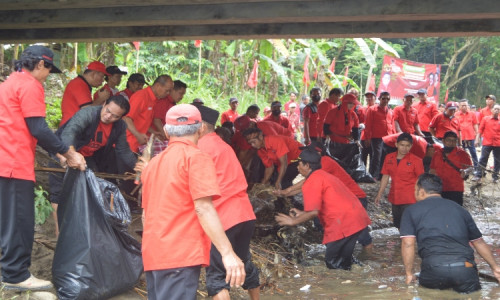 HUT ke-50, Ratusan Kader PDIP Cilacap Tanam Pohon dan Bersih-bersih Sungai Cikawung