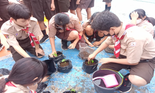Dukung Pemerintah Tekan Inflasi, SMP Pius Cilacap Tanam Ratusan Pohon Cabai