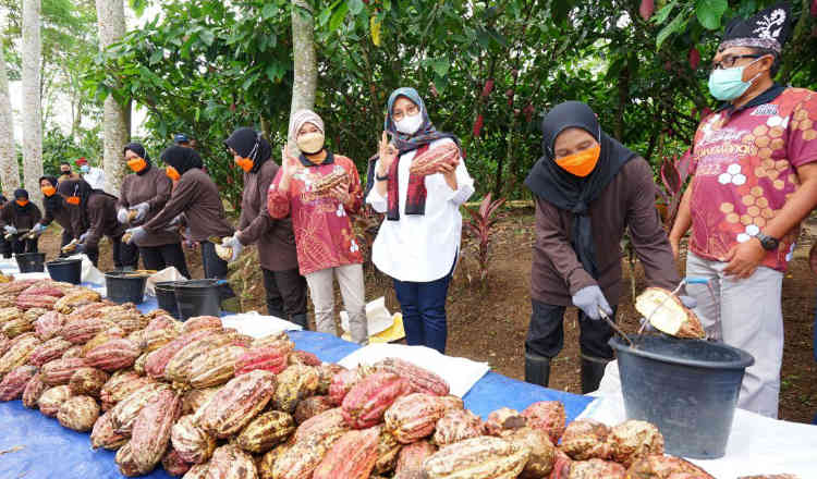 Festival Coklat Glenmore dan Banyuwangi Street Food Festival Kembali Digeber