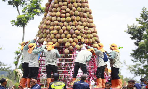 Bupati Jombang Hadiri Kenduren di Wonosalam Bagi Durian 2023