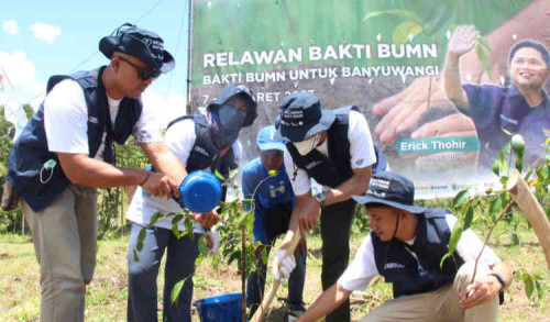 Bakti BUMN untuk Banyuwangi, Tanam Ribuan Pohon jaga Kelestarian Alam